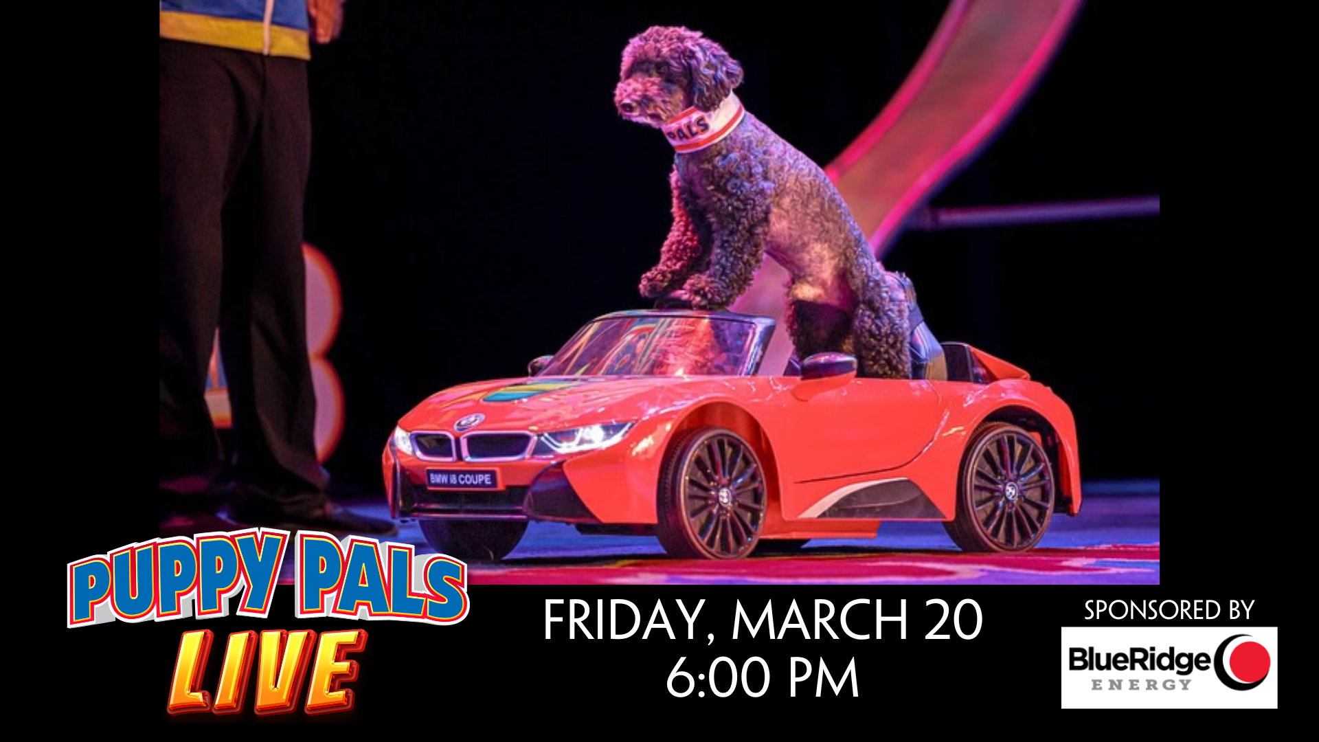 Puppy Pals LIVE - sponsored by Blue Ridge Energy — The Appalachian